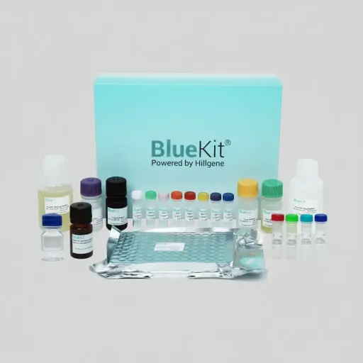 Human IFN-γ ELISA Detection Kit