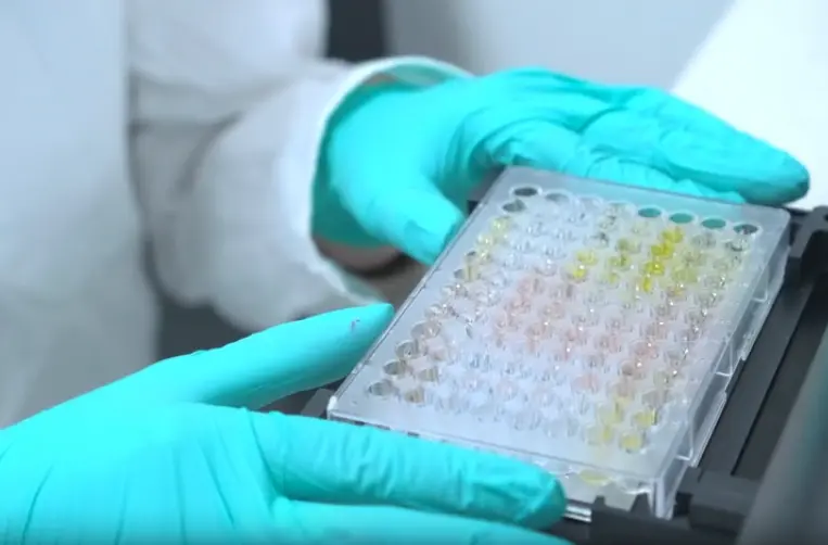 Human Growth Hormone ELISA Kit