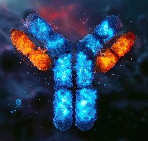 Anti-YTHDF2 antibody - 100µg