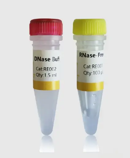 [RE101] DNase I
