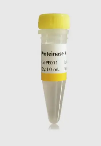 [PE011] Proteinase K(20 mg/mL)