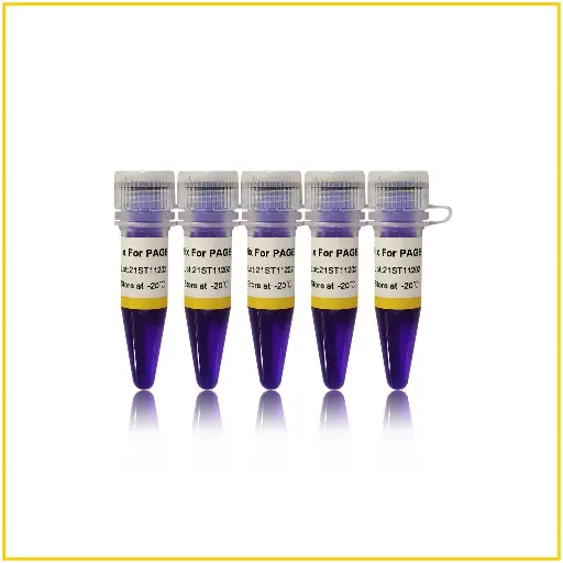 [ST112] 2×GS Taq PCR Mix For PAGE