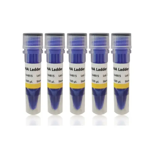 [SM815-500] 50 bp DNA Ladder