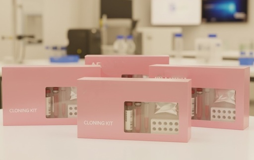 [C0035] BL21 (DE3) Competent Cells 